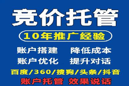 网络推广与竞价策略实战案例